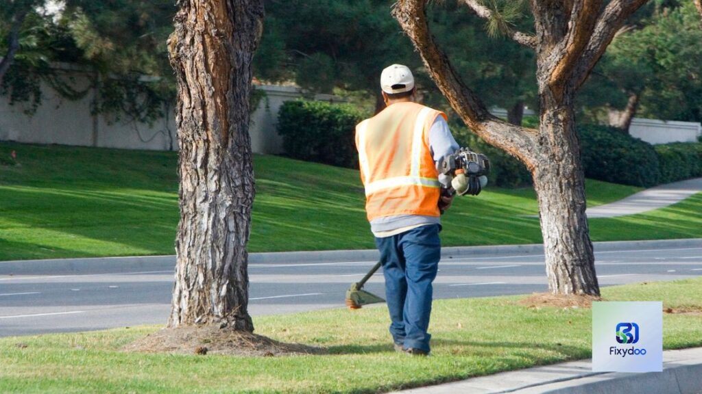 Gardener Service in Al Zahiyah, Abu Dhabi