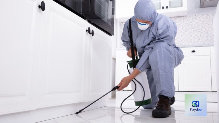 Dubai Termite & Cockroach Extermination Experts
