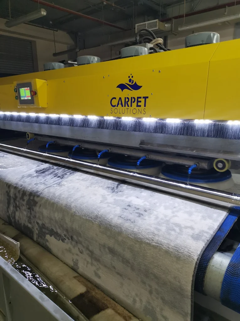 Revive your carpets with expert deep cleaning