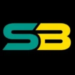 Shahid Bashir Technical Services Logo