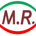 Munir Shabeer Technical Services Logo